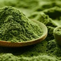 L-Teanina di origine naturale L-Teanina di origine naturale