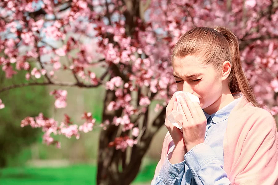 allergie e sistema immunitario