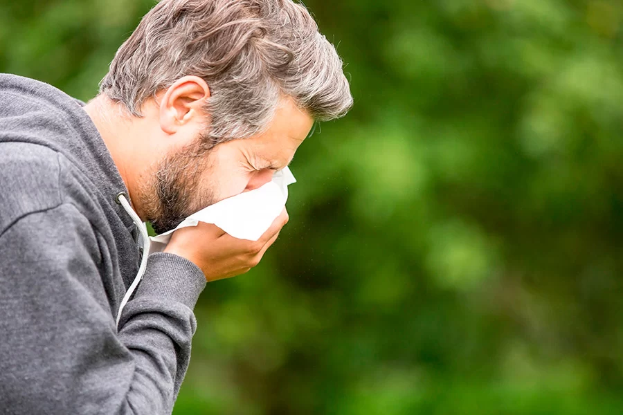 allergie e sistema immunitario