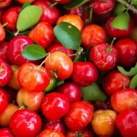 Vitamina C da Acerola Vitamina C da Acerola