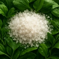 Cristalli di glutatione ridotto Cristalli di glutatione ridotto