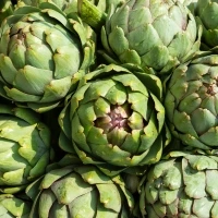 Il carciofo come ingrediente contenuto nell’integratore per il fegato Eprelax Il carciofo come ingrediente contenuto nell'integratore per il fegato Eprelax