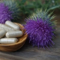 Il cardo mariano come ingrediente contenuto nell’integratore per il fegato Eprelax Il cardo mariano come ingrediente contenuto nell'integratore per il fegato Eprelax