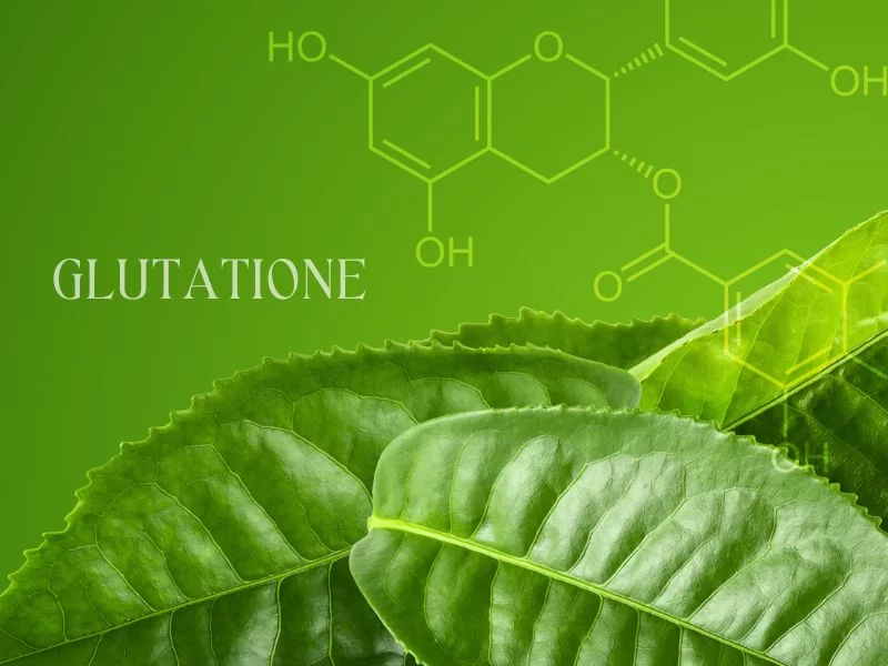glutatione salute fegato