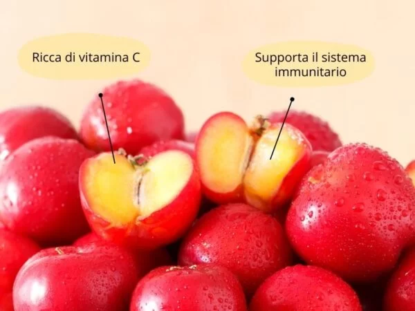 benefici acerola