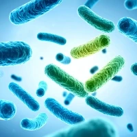 probiotics Probiotici