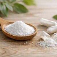 Acetil L Carnitina Acetil L Carnitina