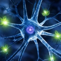 Citicolina Citicolina