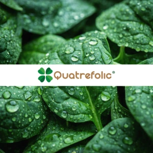 Akuten pro con quatrefolic folato attivo Akuten pro con quatrefolic folato attivo